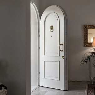 Входная дверь EVOLUTION от Oikos